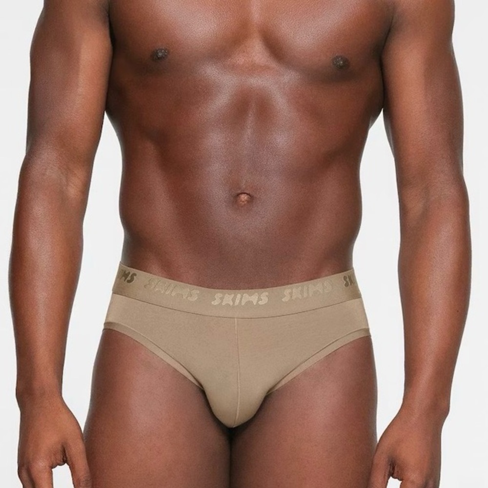 SKIMS Taupe Briefs